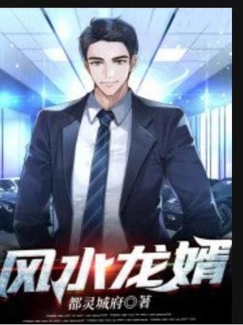 《風(fēng)水龍婿》哪個(gè)版本評價(jià)最高？