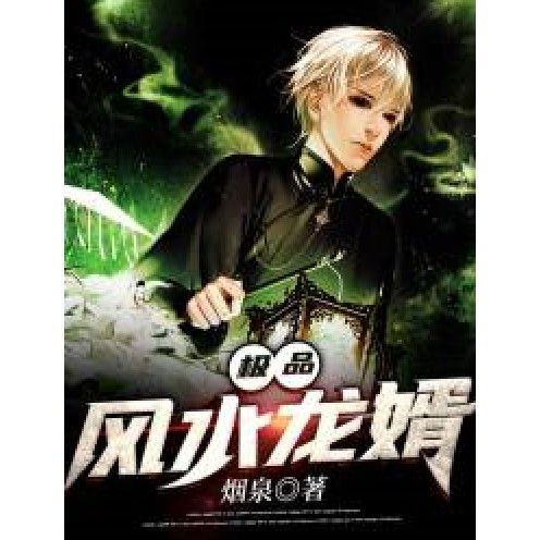 《風(fēng)水龍婿》哪個(gè)版本評價(jià)最高？