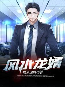 《風水龍婿》有哪些主要角色？