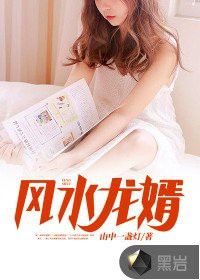 《風水龍婿》有哪些主要角色？