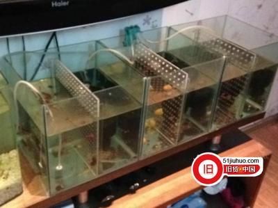二手魚缸舊貨市場