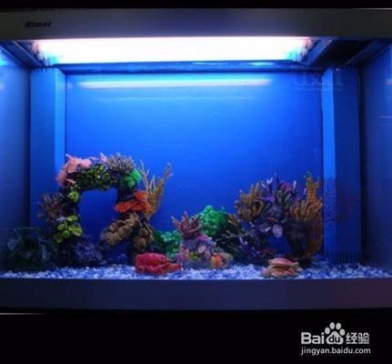 龍魚魚缸品牌排名（龍魚魚缸品牌盛文龍魚魚缸品牌盛文龍魚缸品牌盛文龍魚缸）