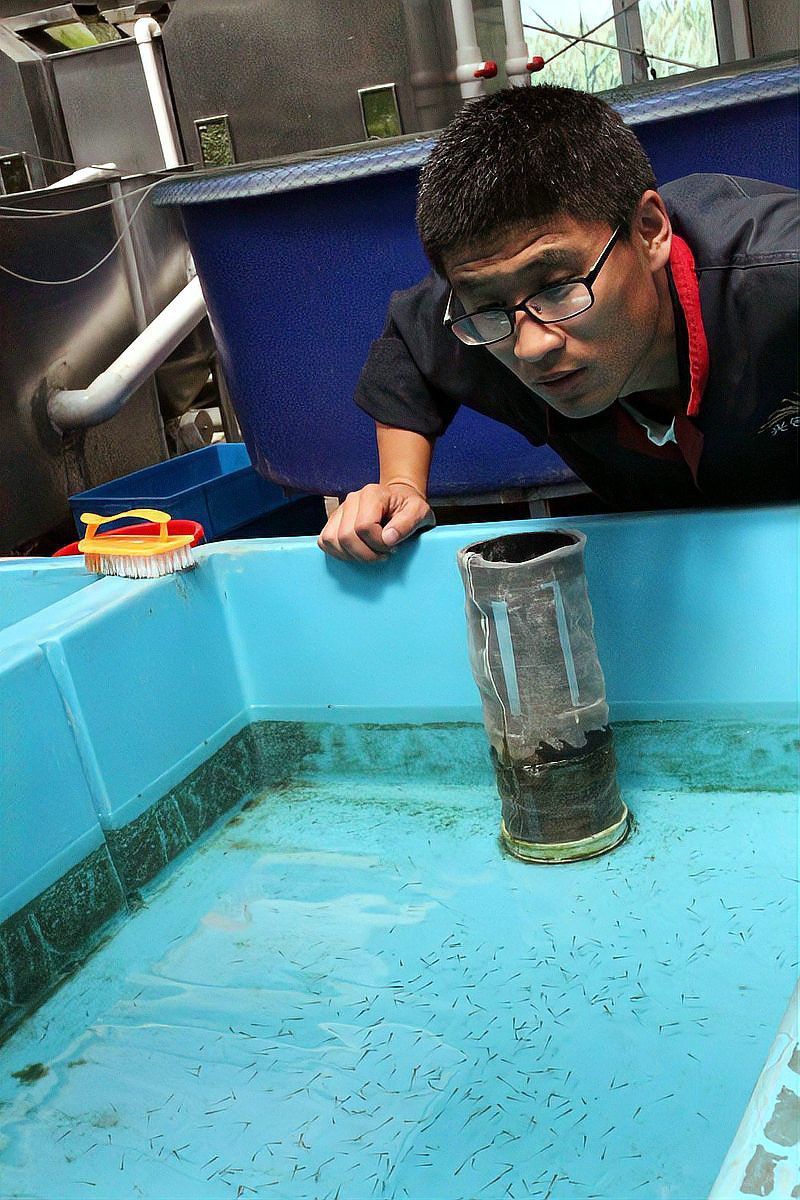 如何判斷小魚是否消毒徹底？