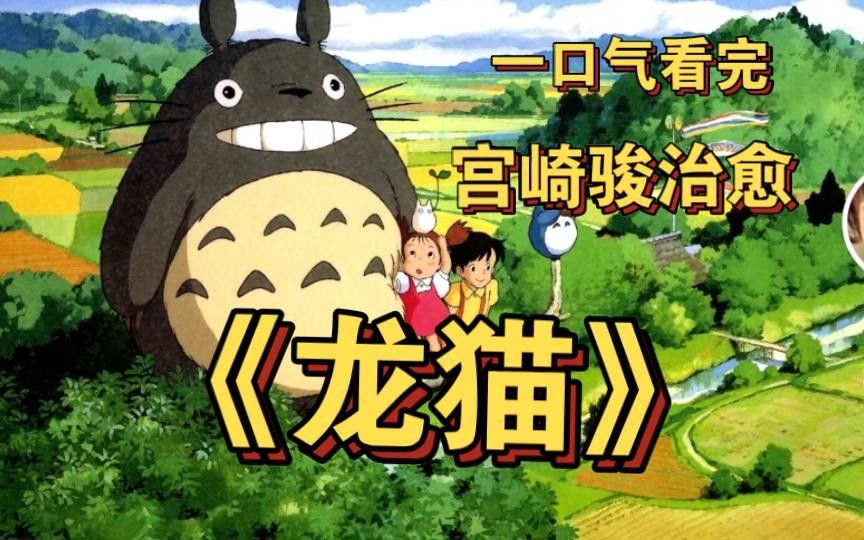 龍貓玩具價(jià)格范圍