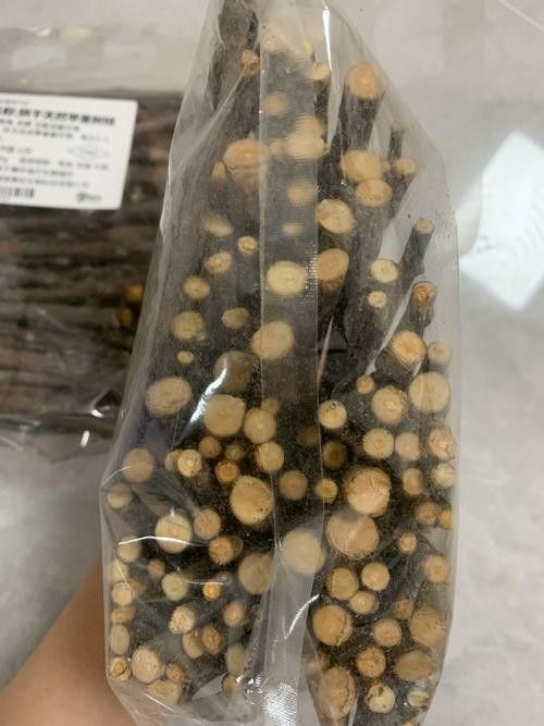 龍貓玩具價(jià)格范圍