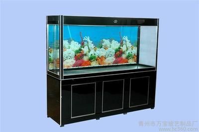 龍魚總在缸底游怎么回事：龍魚總是在缸底游動的原因及解決方案