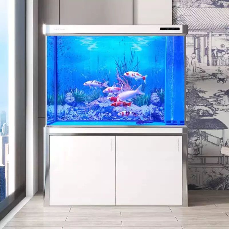 龍魚總在缸底游怎么回事：龍魚總是在缸底游動的原因及解決方案