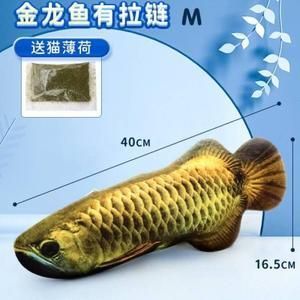 為什么金龍魚會突然咬魚（金龍魚突然咬魚是什么原因引起的？）