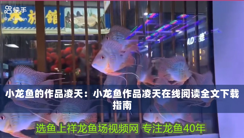 小龍魚的作品凌天：小龍魚作品凌天在線閱讀全文下載指南