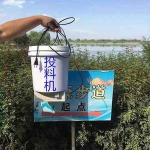 新龍魚到家幾天喂食一次：新龍魚到家幾天喂一次