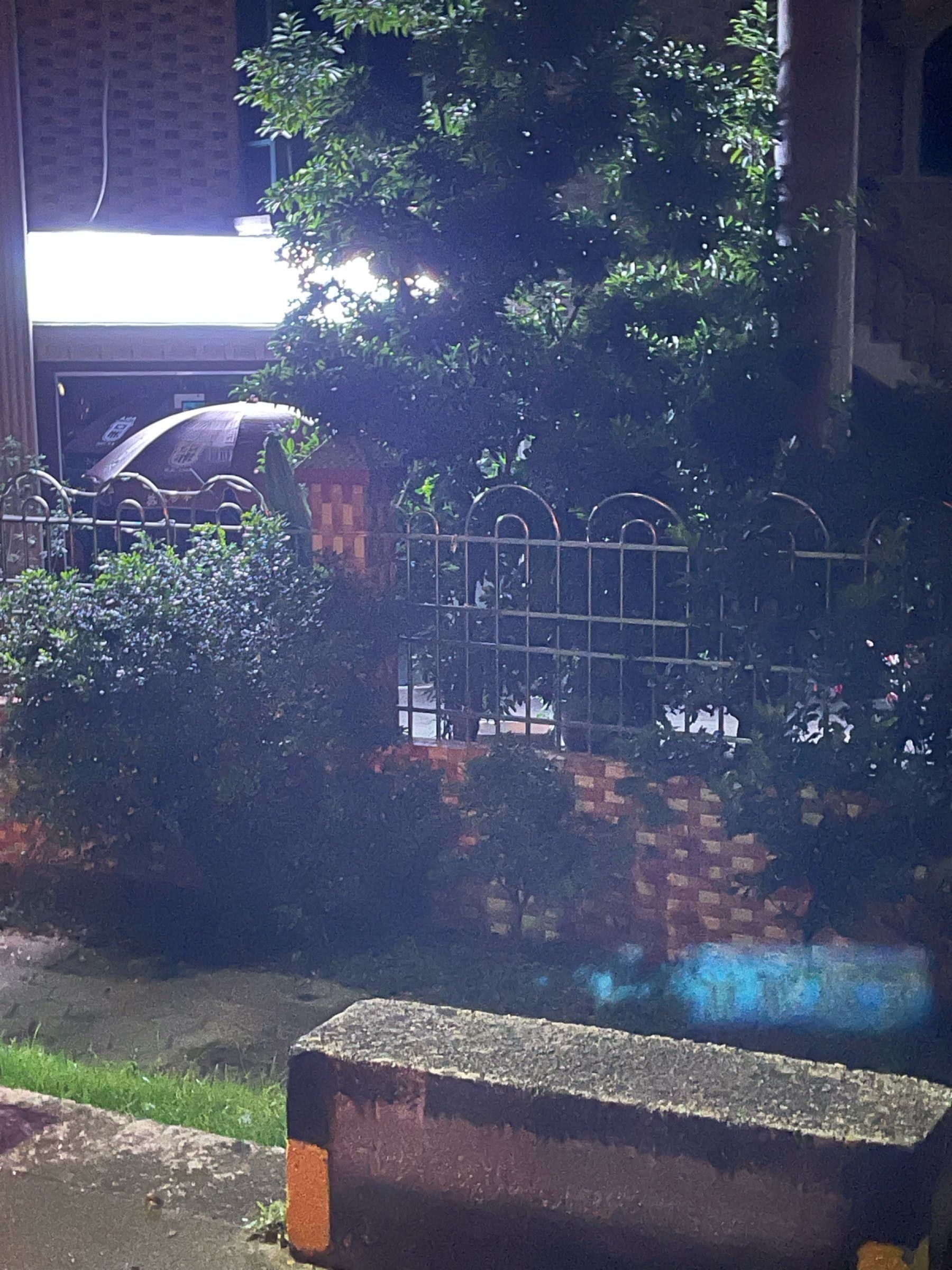 廣州哪里是批發(fā)龍魚(yú)的地方