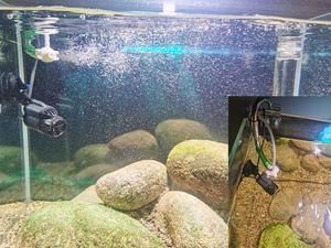 魚缸出水改裝（魚缸出水口改裝）