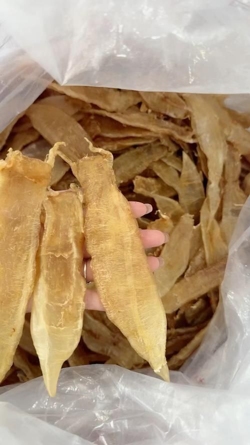 金龍魚膠圖片