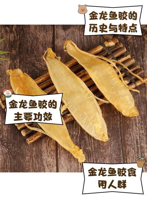 金龍魚膠圖片