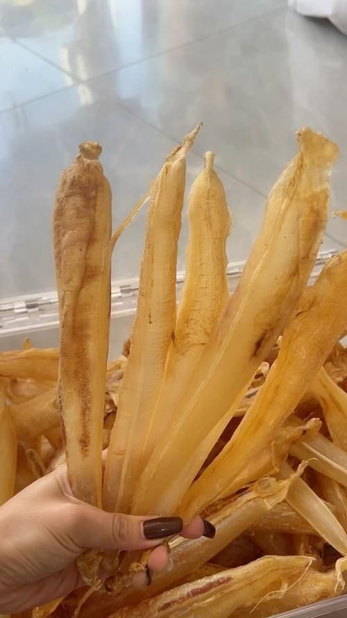 金龍魚膠圖片