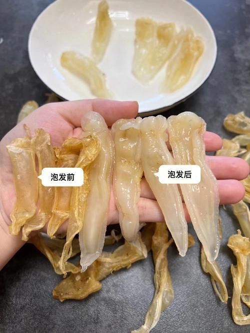 金龍魚膠圖片