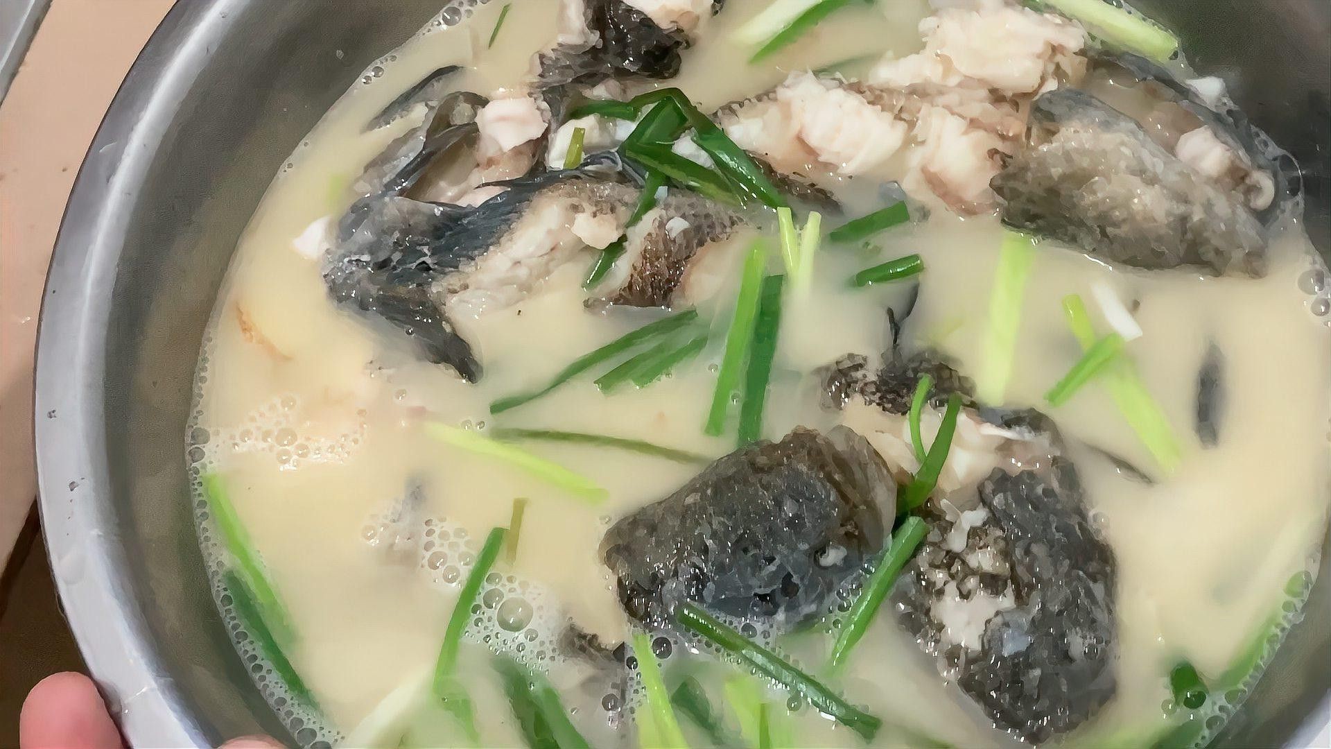 七星魚和雷龍魚哪個更具有觀賞性？
