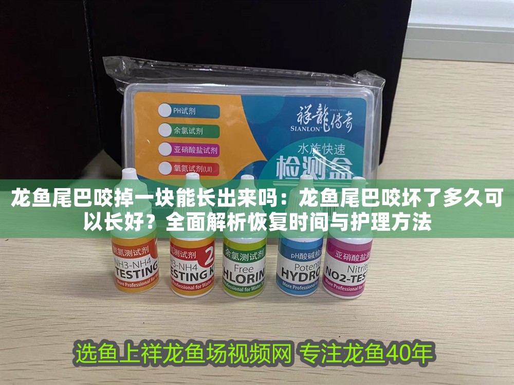 龍魚尾巴咬掉一塊能長(zhǎng)出來嗎：龍魚尾巴咬壞了多久可以長(zhǎng)好？全面解析恢復(fù)時(shí)間與護(hù)理方法