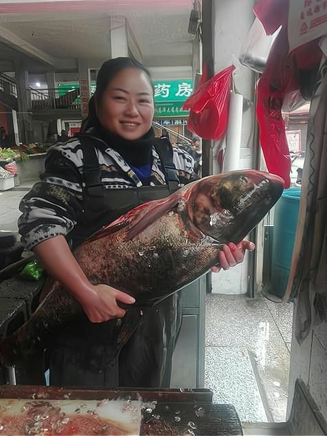 西安龍魚市場營業時間表圖片