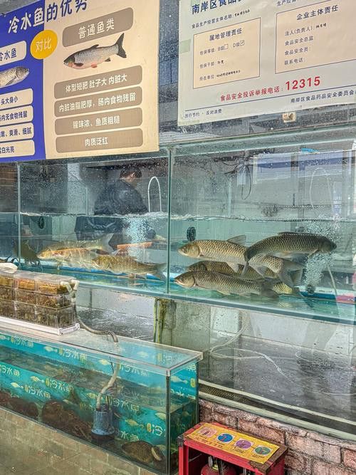 西安龍魚市場營業時間表圖片