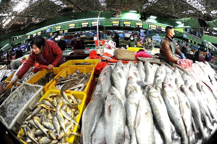 西安龍魚市場營業時間表圖片