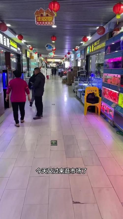 西安龍魚市場營業時間表圖片