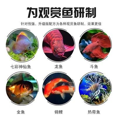 龍魚下了黃粉后為什么不適應魚缸：龍魚下黃粉后不適應魚缸怎么辦