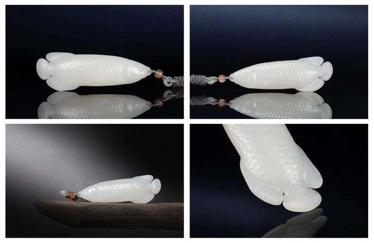 小玉龍魚圖片大全