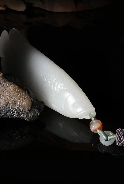 小玉龍魚圖片大全