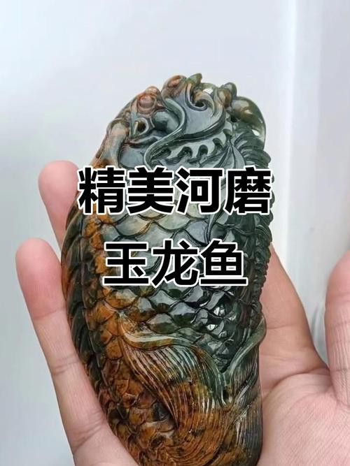 小玉龍魚圖片大全