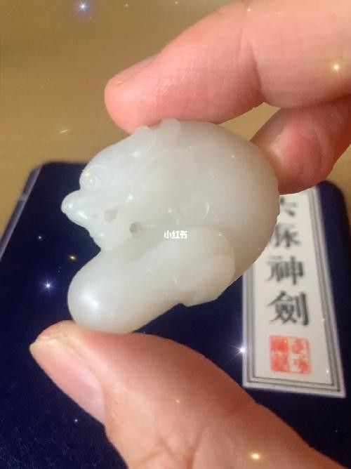 小玉龍魚圖片大全