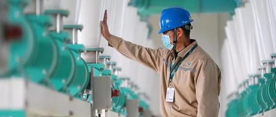 紅金龍魚的價格是多少錢一條（紅金龍魚價格因其品種、大小、顏色飽和度、品種純度以及是否帶有競賽證書）