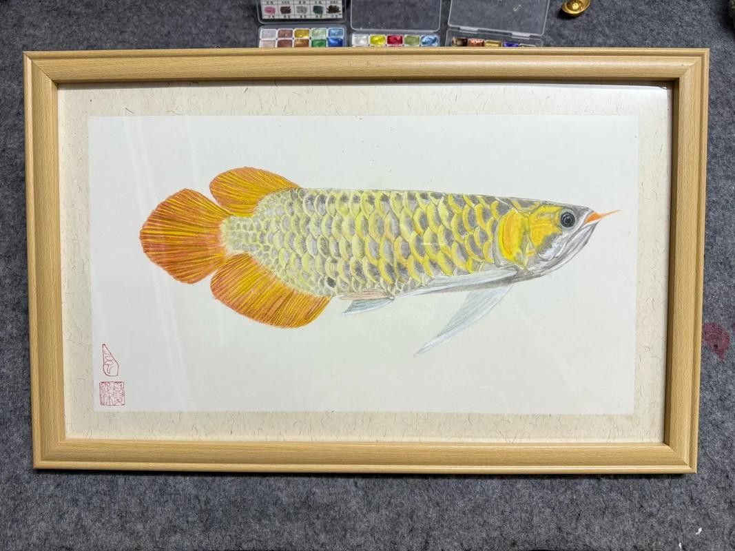 金龍魚手工畫圖片大全