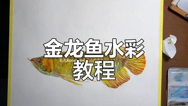 金龍魚手工畫圖片大全