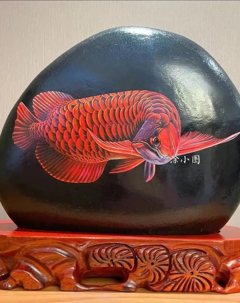 金龍魚手工畫圖片大全