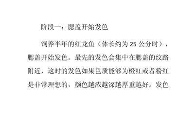 紅龍魚介紹作文怎么寫的