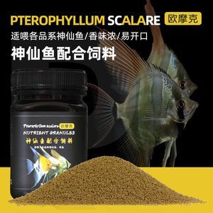 龍魚為什么最好養呢：龍魚為什么最好養，揭秘其成為理想寵物的五大原因