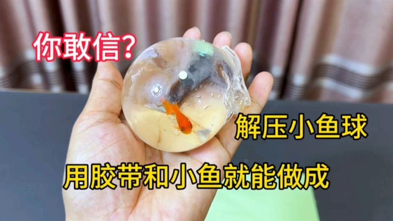 有哪些自制小火龍魚互動玩具