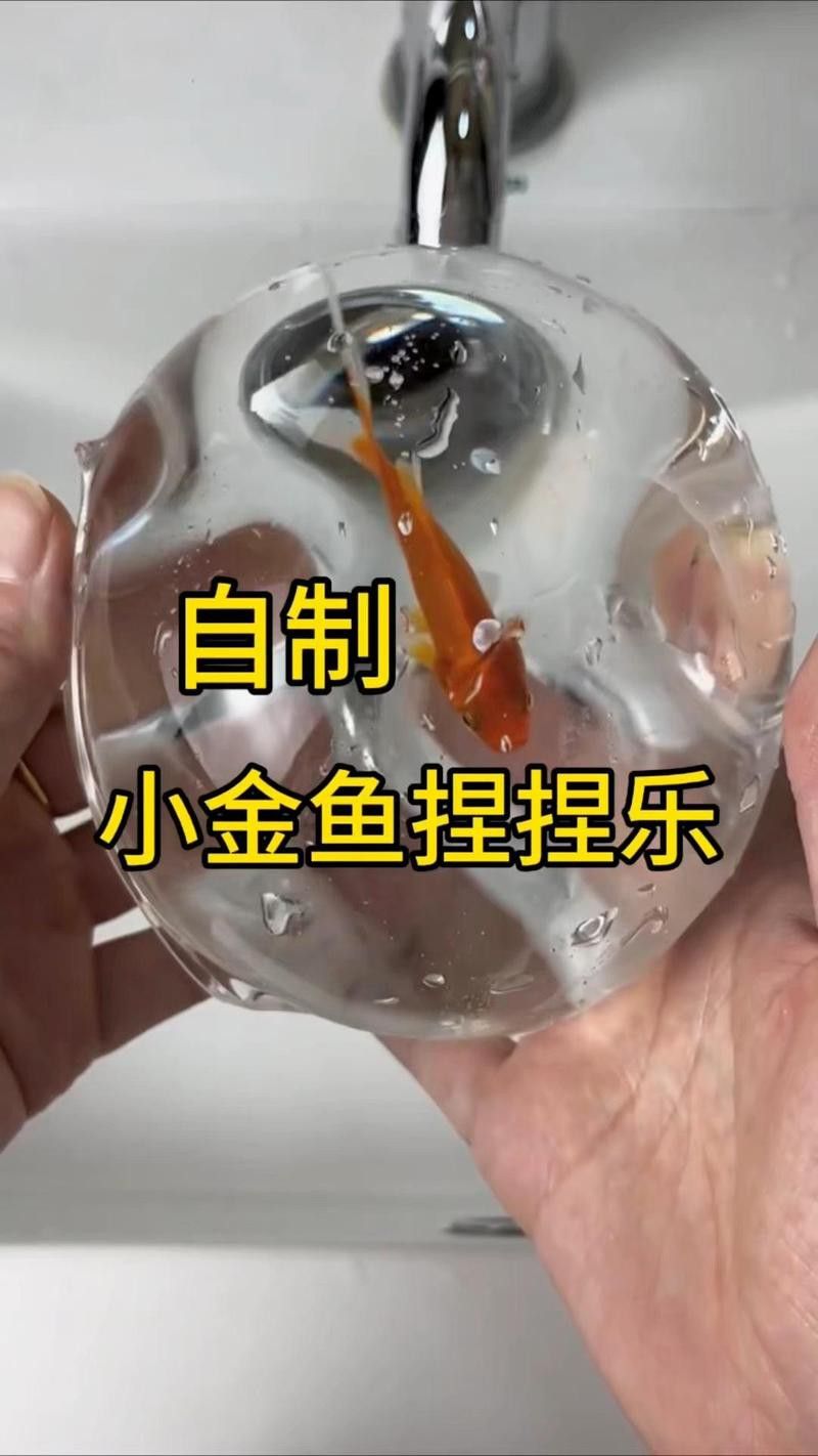 有哪些自制小火龍魚互動玩具