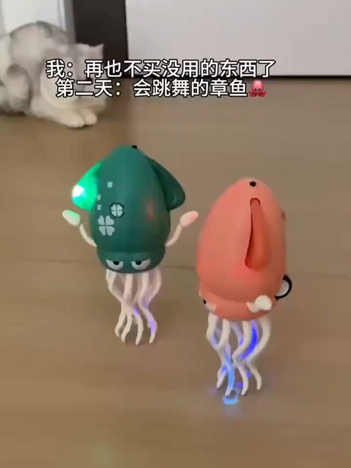 有哪些自制小火龍魚互動玩具
