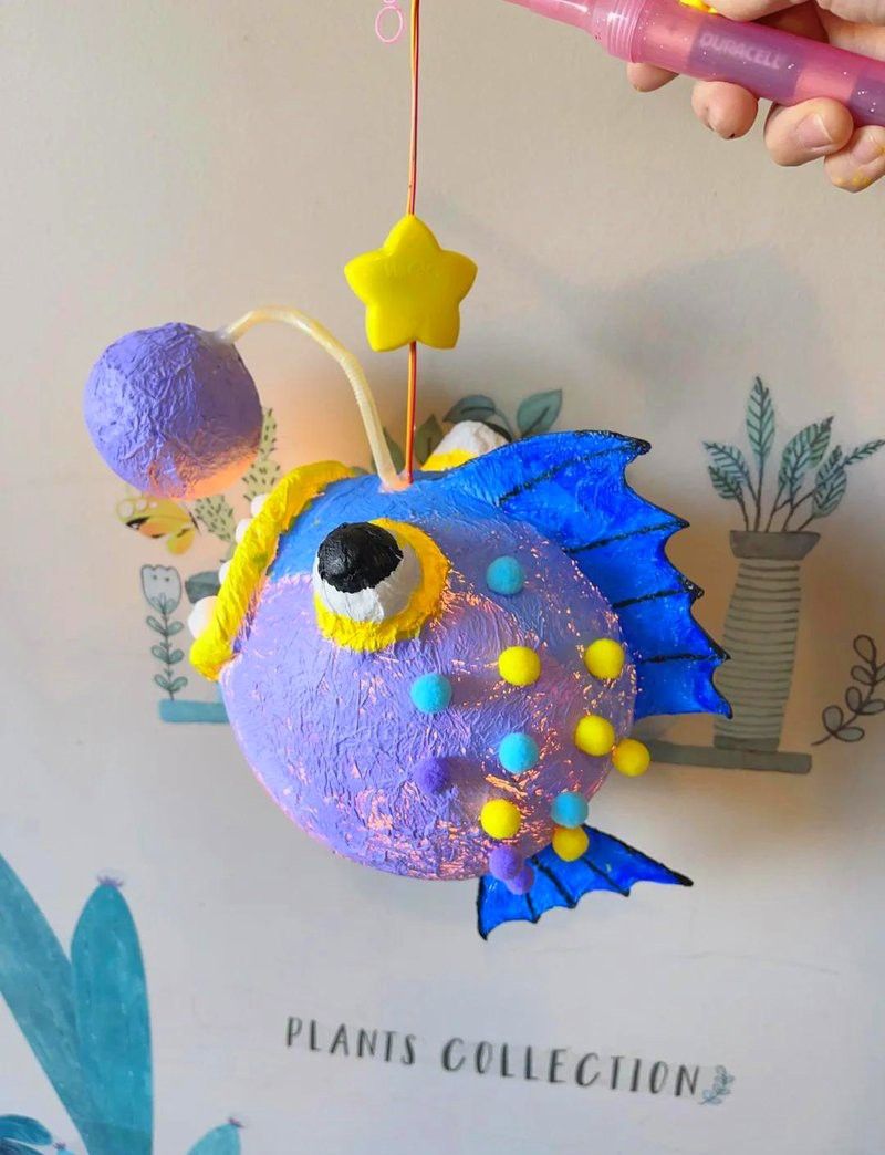 有哪些自制小火龍魚互動玩具