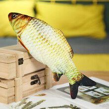有哪些自制小火龍魚互動玩具