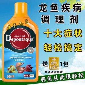 哪種銀板魚不咬龍魚