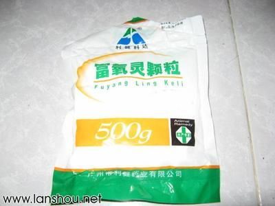 哪種銀板魚不咬龍魚