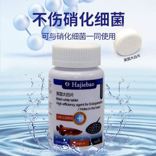 海水龍魚圖片大全大圖欣賞