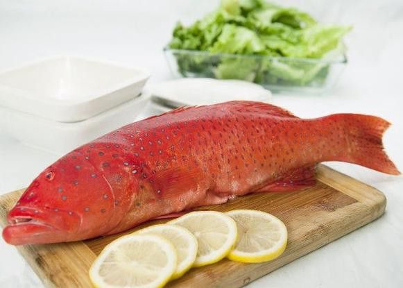 海水龍魚圖片大全大圖欣賞