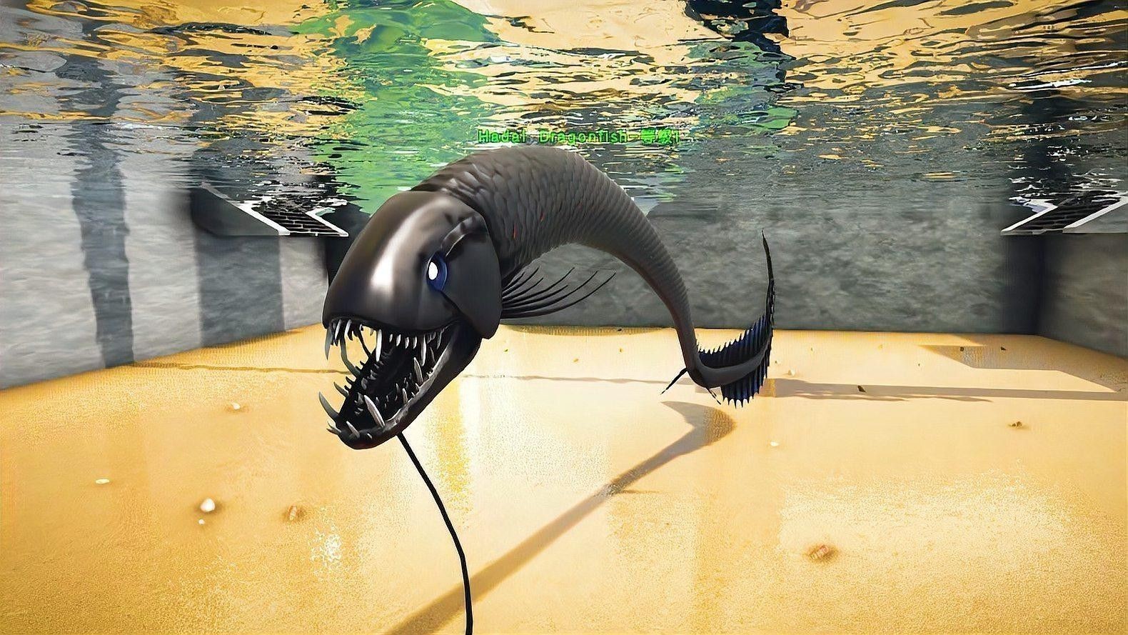 海水龍魚圖片大全大圖欣賞