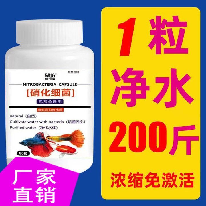 養龍魚必備藥劑是什么成分：龍魚藥劑使用注意事項