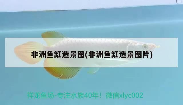 北京個人二手魚缸轉讓58同城信息電話（北京個人二手魚缸轉讓58同城信息電話號碼）