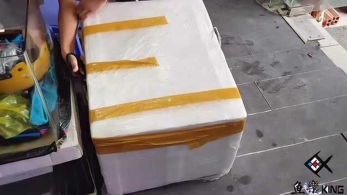 紅龍魚開箱視頻,魚死了：關于紅龍魚開箱視頻